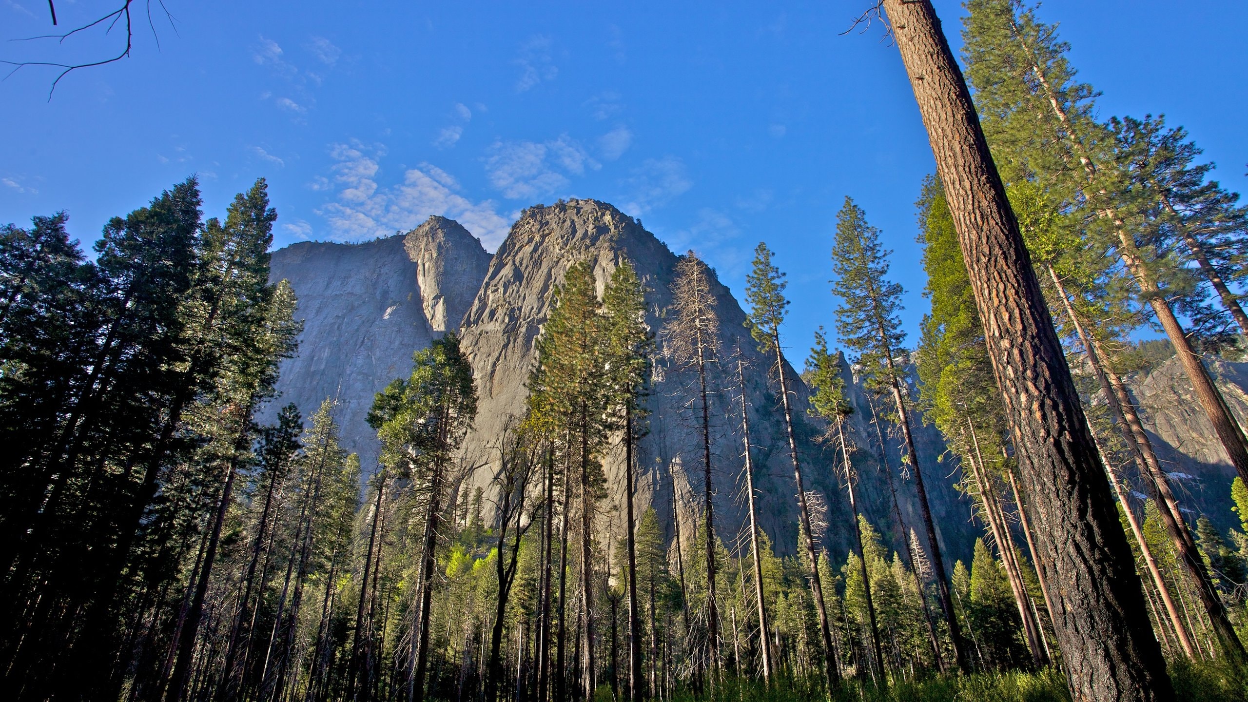 Yosemite National Park Vacation Rentals 171 Find Top Vacation Homes