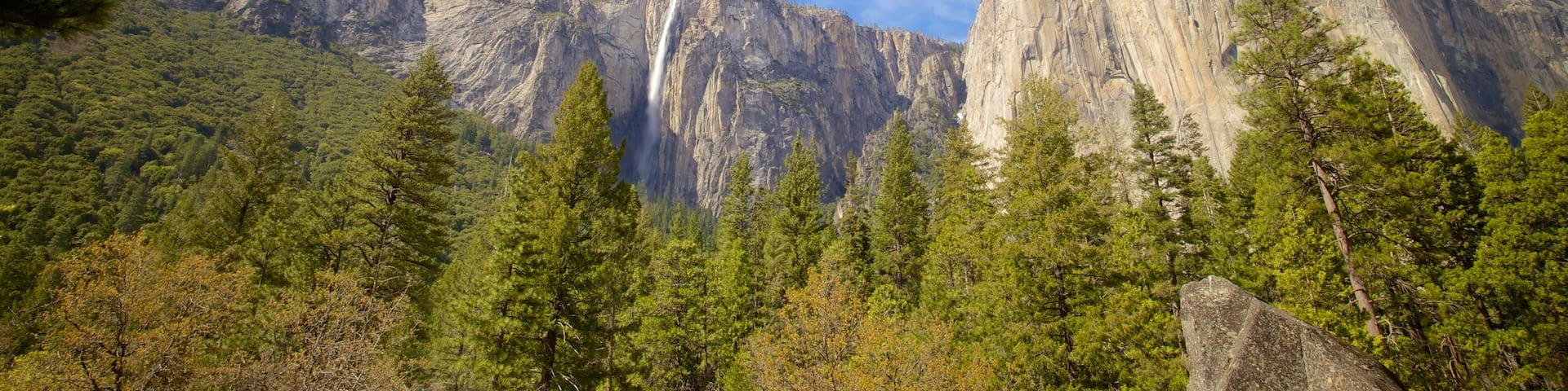 Yosemite National Park featuring forests and mountains