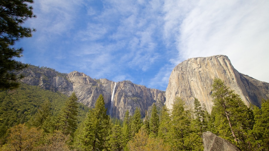 Yosemite National Park