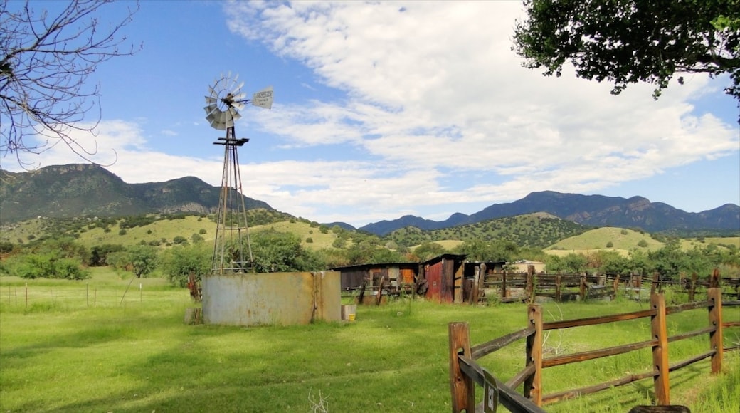 Sierra Vista showing farmland and a windmill