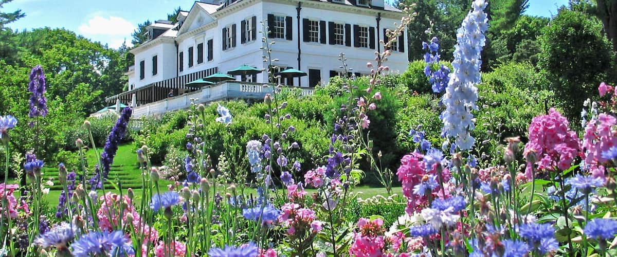 The Berkshires showing flowers