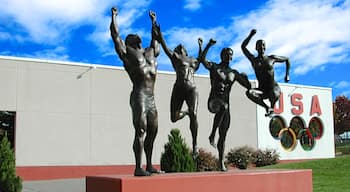 United States Olympic Complex mostrando arte urbana e statua o scultura