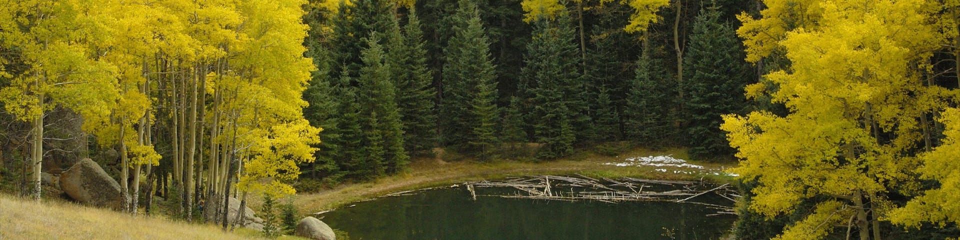 Mueller State Park which includes a pond and forests