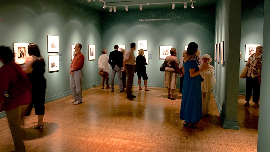 Pusat Seni Halus Colorado Springs