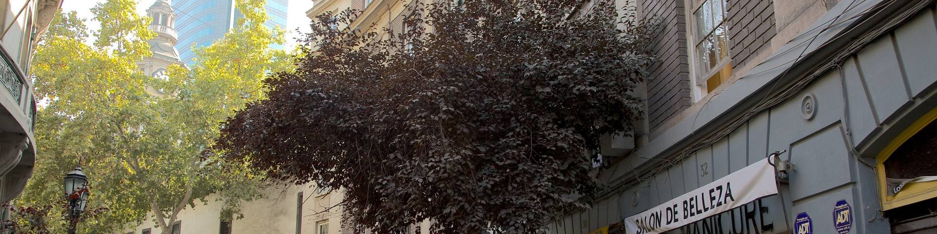 Santiago which includes street scenes