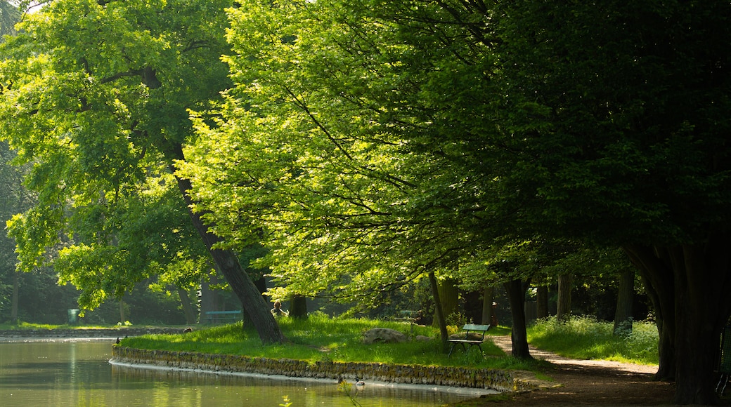 Jardin d\'Acclimatation showing a park