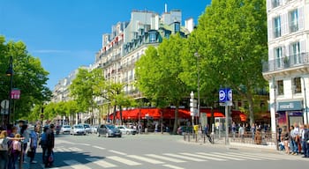 Quartier Latin showing street scenes