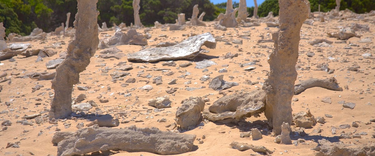 King Island inclusief landschappen