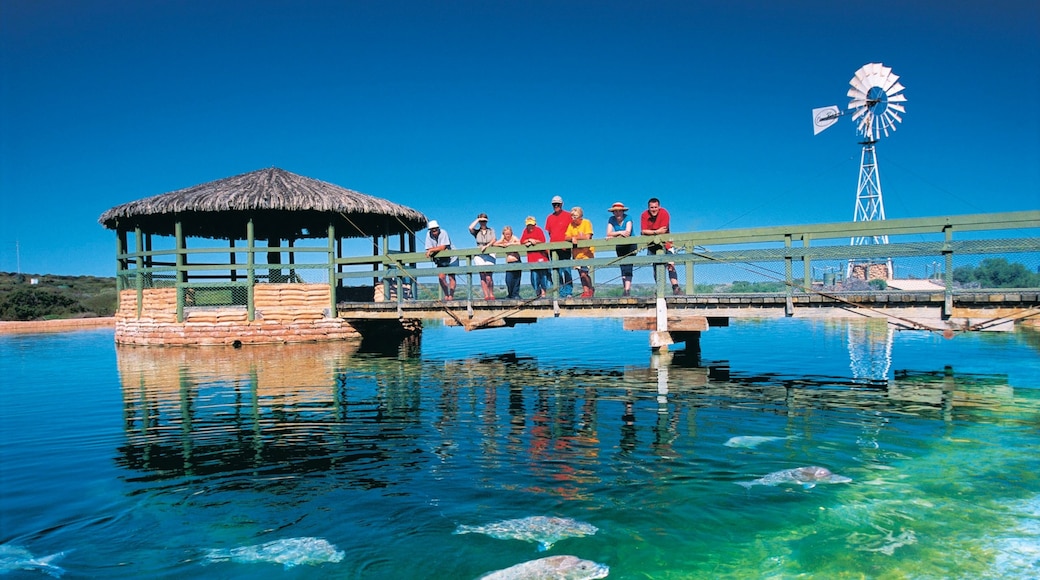 Kuvan toimittaja: Tourism Western Australia