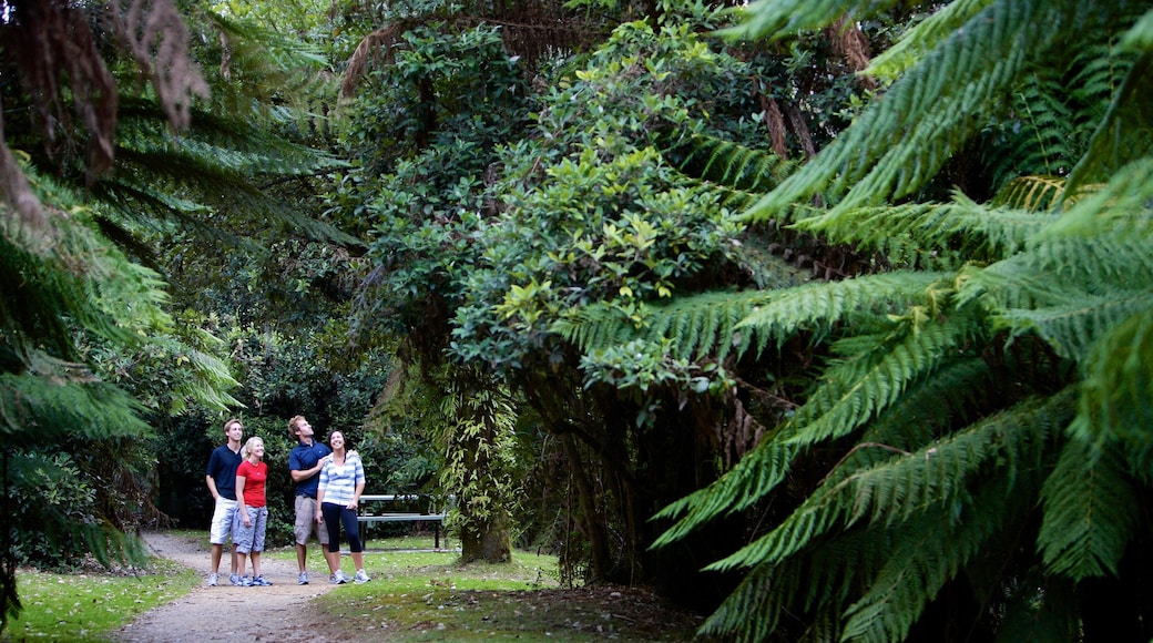 10 TOP Things to Do in Burnie January 2023 Expedia 10 TOP Things to Do in Burnie January 2023 Expedia