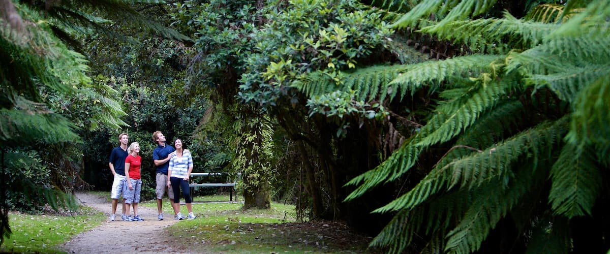 Burnie featuring a garden and forest scenes as well as a family
