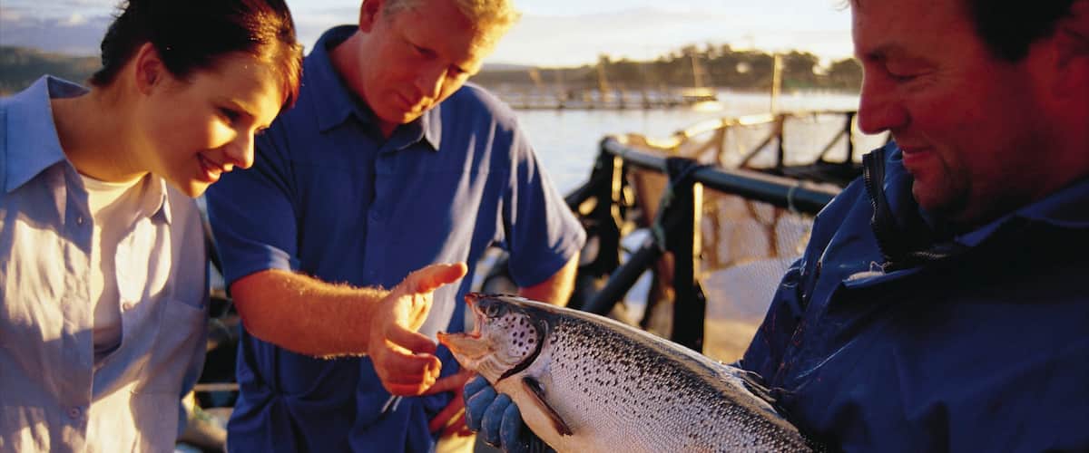 Dover bevat zeedieren