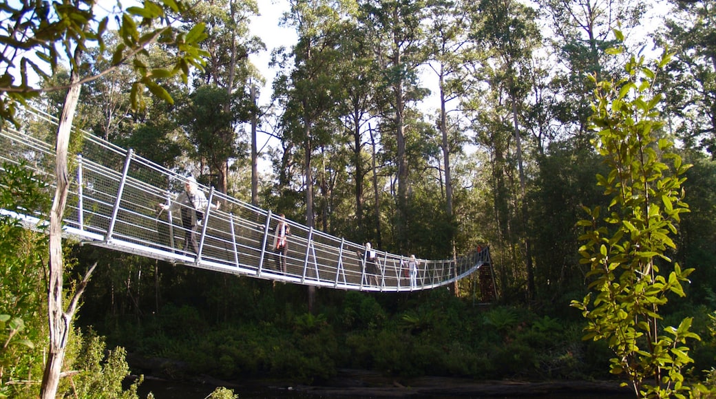 Photo provided by Tourism Tasmania & Andrea Philps