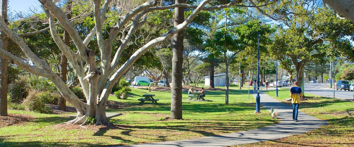 Kingscliff featuring a park