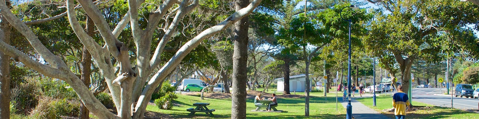 Kingscliff showing a garden