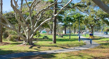 Kingscliff which includes a park