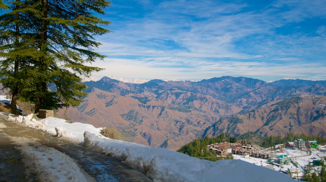 Shimla mostrando montañas