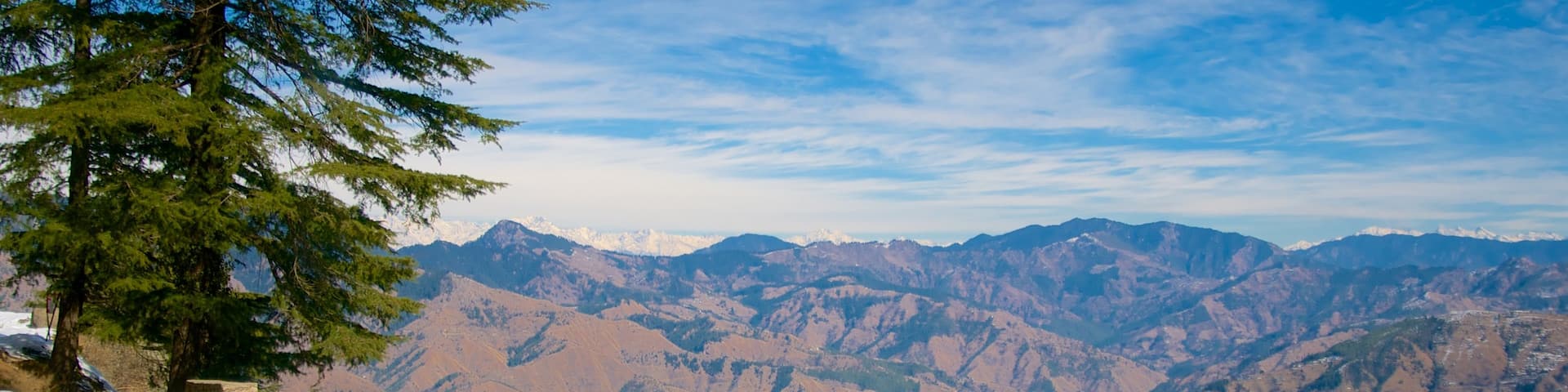 Shimla featuring mountains