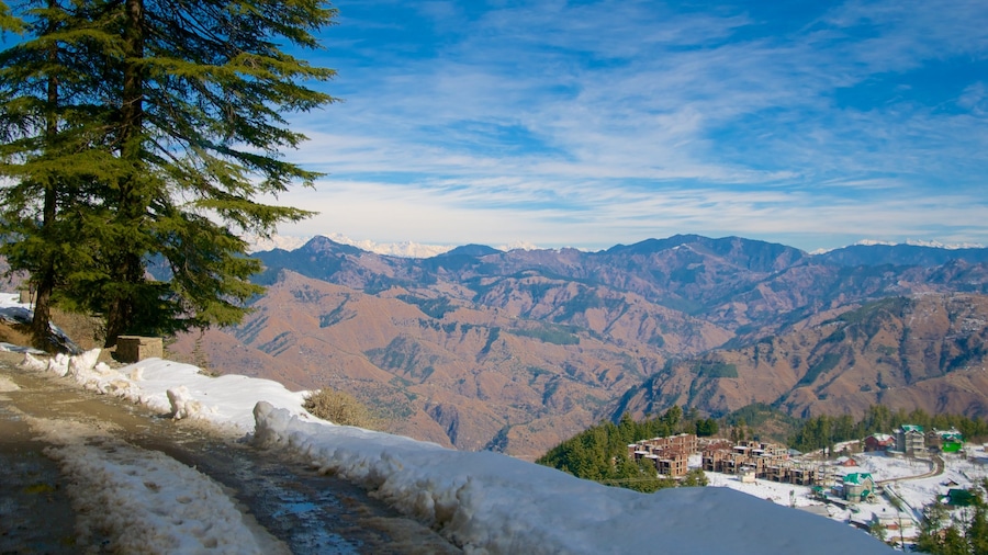 Shimla showing mountains