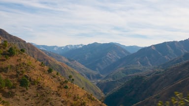 Shimla bevat bergen