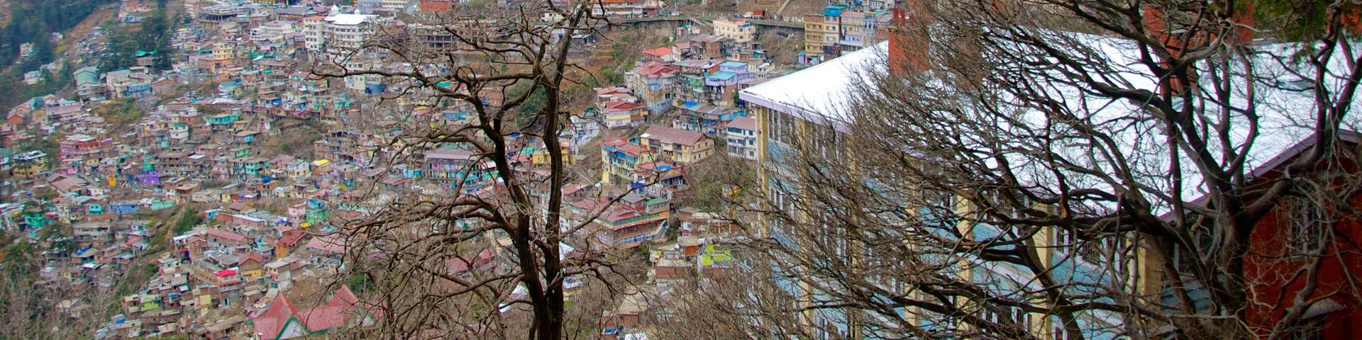 Shimla Mall showing a city