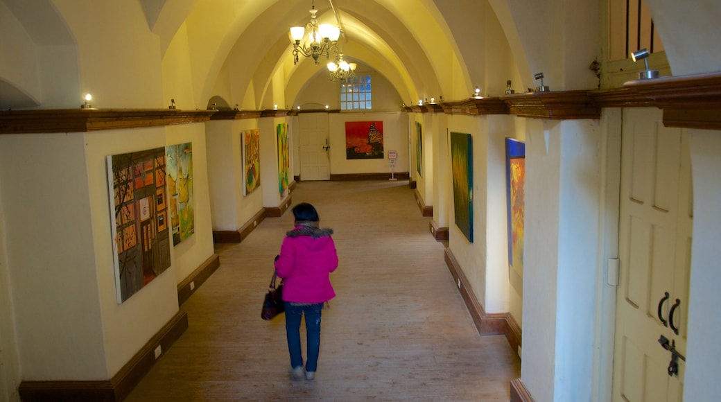 Gaiety Theater showing theatre scenes, art and interior views