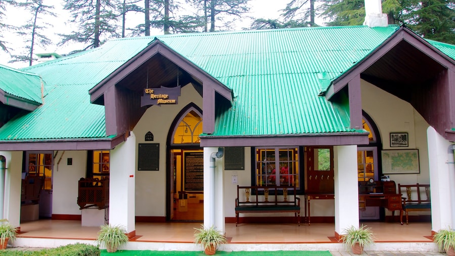 Shimla