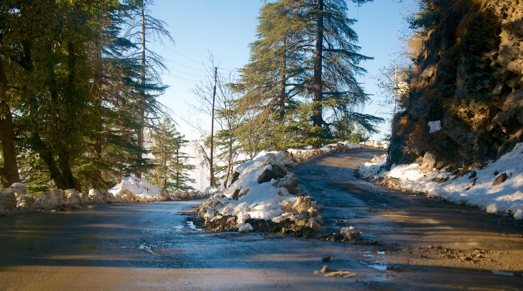 Shimla showing snow