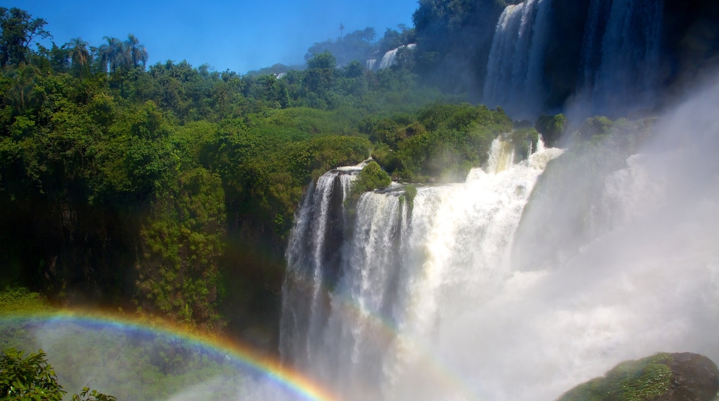 Iguaçufallen som inkluderar ett vattenfall