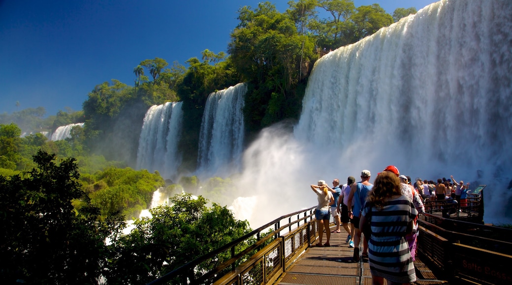 Chutes d\'Iguaçu mettant en vedette une chute aussi bien que un grand groupe de personnes