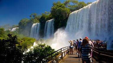 Cascate di Iguazu che include cascata cosi come un grande gruppo di persone