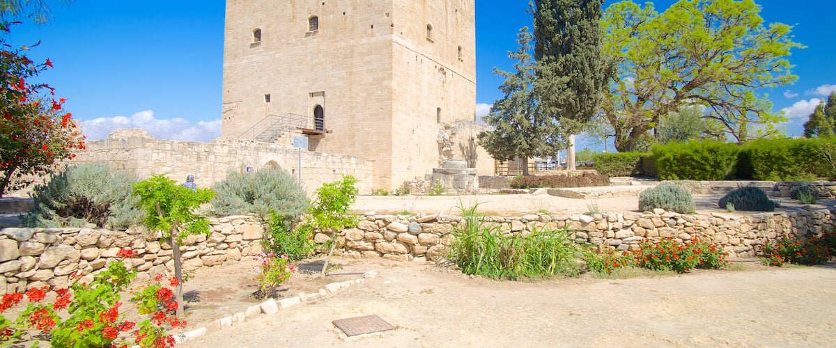 Castillo de Kolossi que incluye un parque, palacio y arquitectura patrimonial