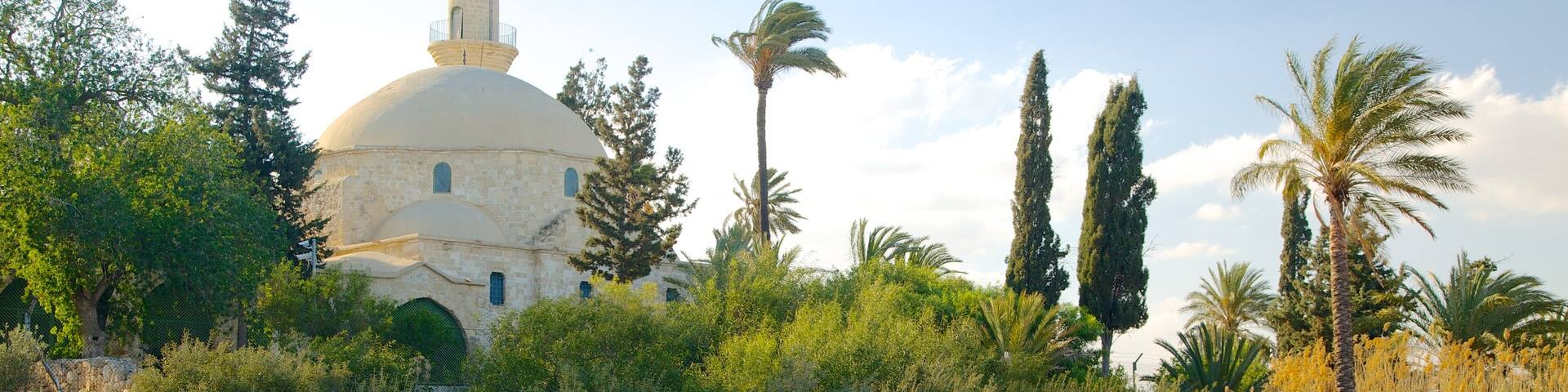 Hala Sultan Tekke featuring a mosque, heritage architecture and religious elements