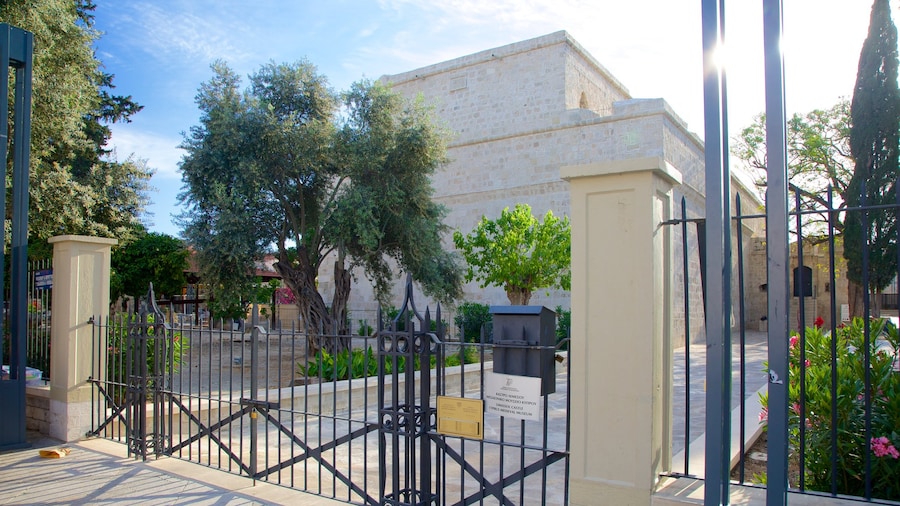 Limassol Castle showing a castle