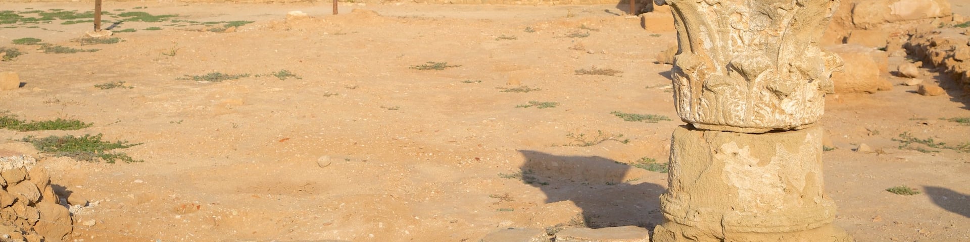 Parc archéologique de Paphos, Paphos, Chypre qui includes patrimoine architectural et ruine