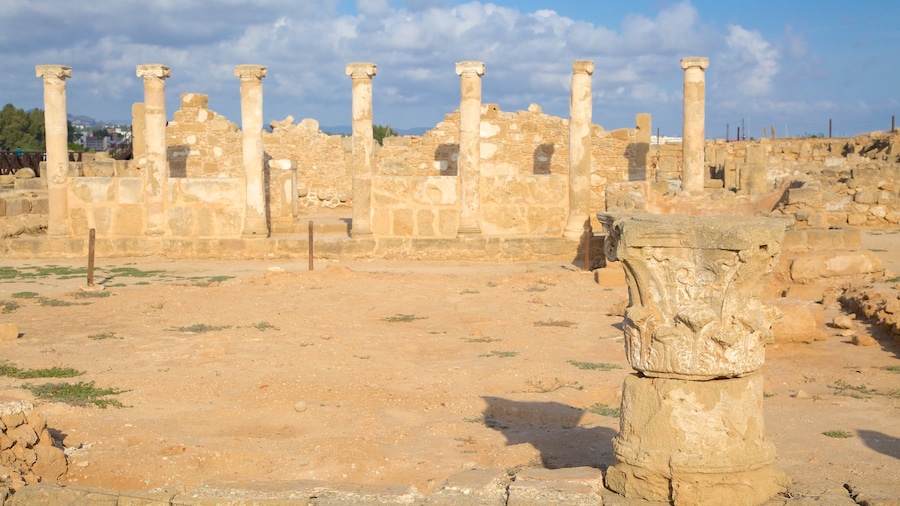Paphos Archaeological Park showing heritage architecture and a ruin