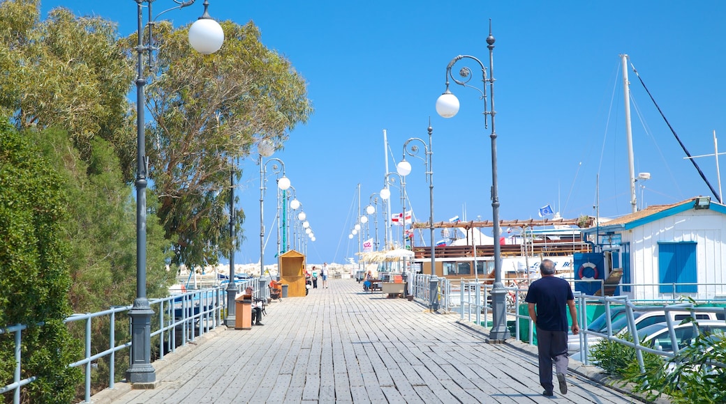 larnaca port tours