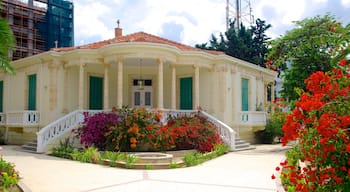 Paphos City Center featuring flowers