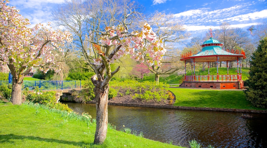 Sefton Park que incluye un lago o laguna, vistas panorámicas y un puente