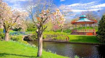 Sefton Park que incluye un lago o laguna, vistas panorámicas y un puente