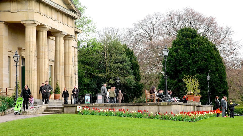 St. Mary\'s Abbey which includes a church or cathedral, heritage architecture and flowers