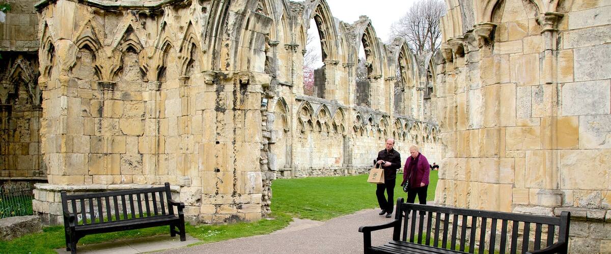 St. Mary\'s Abbey featuring a ruin and heritage architecture as well as a couple