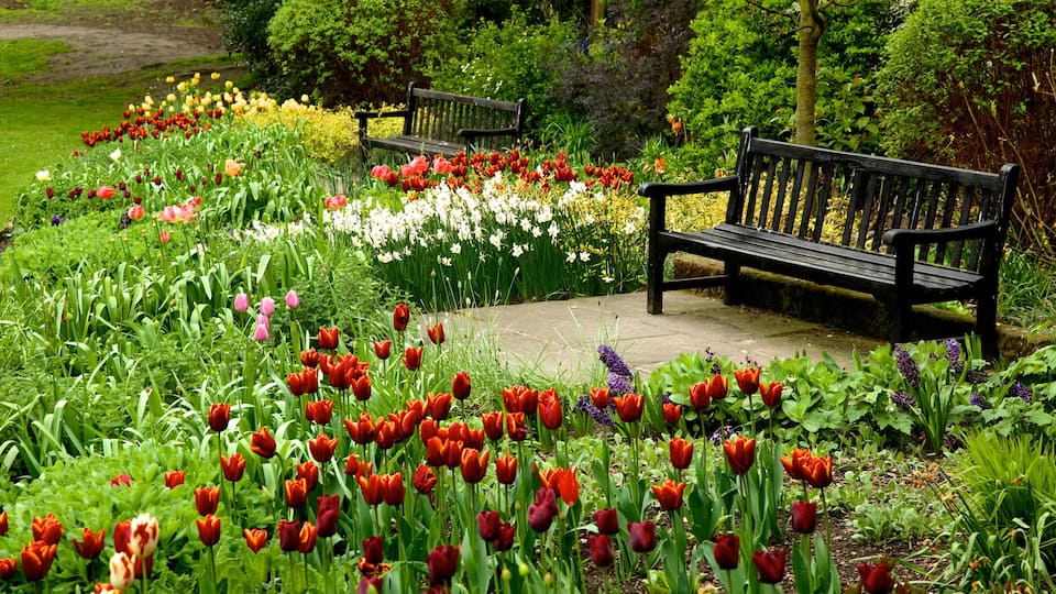 York which includes a garden and flowers