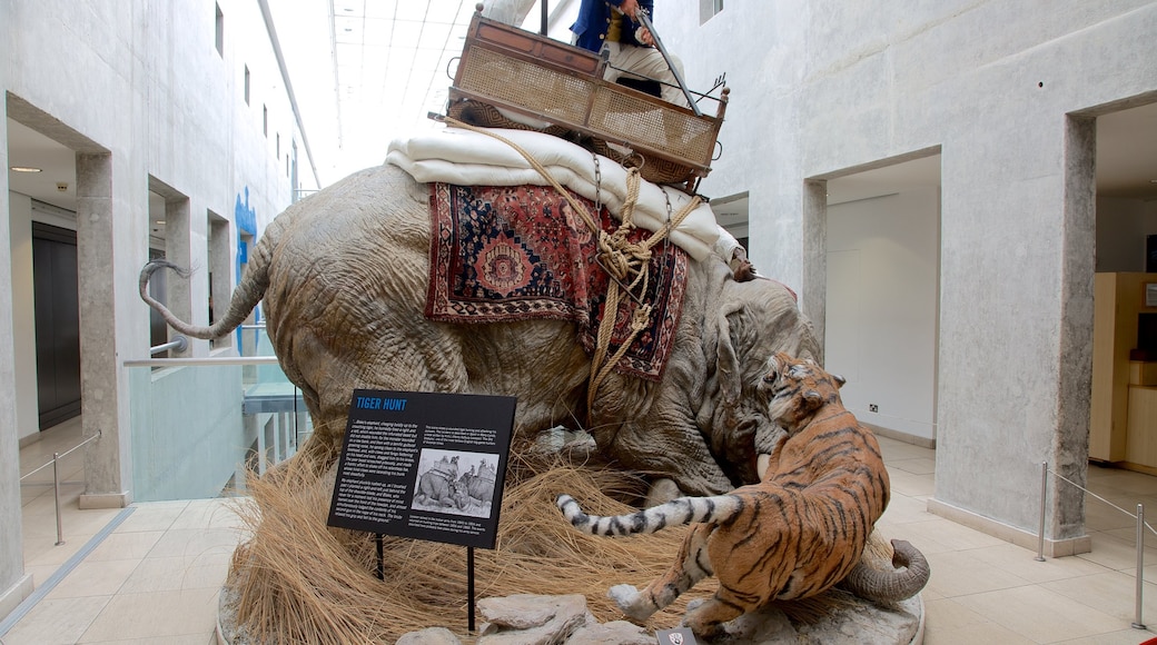 Royal Armouries