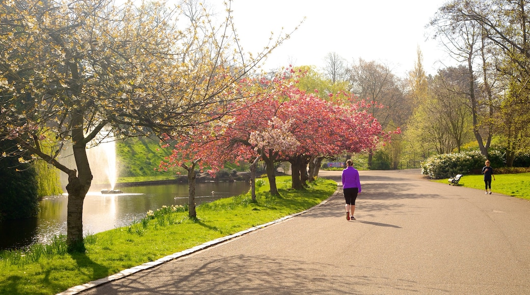 Sefton Park mostrando um lago e um jardim