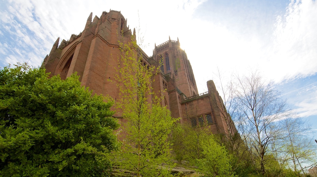 Liverpool Anglican Cathedral featuring heritage architecture, a church or cathedral and religious aspects