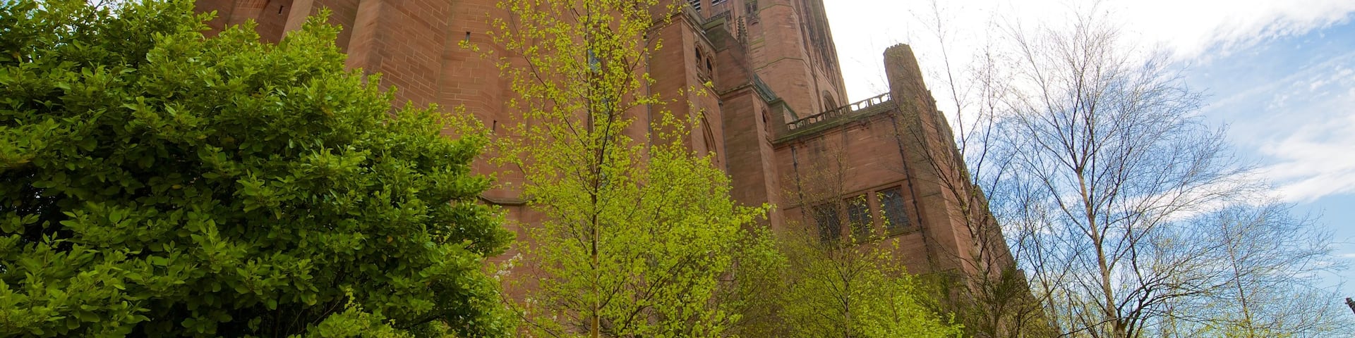 Cathédrale anglicane de Liverpool qui includes aspects religieux, église ou cathédrale et patrimoine architectural
