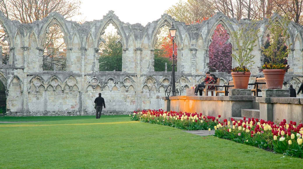 St. Mary\'s Abbey showing a park, heritage architecture and a ruin