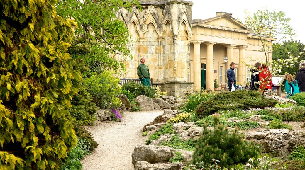 Taman Museum Yorkshire