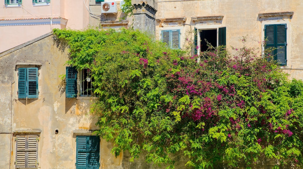 Old Town showing heritage architecture